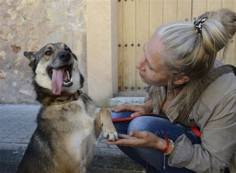 mujer zoofilia|Pegada al perro